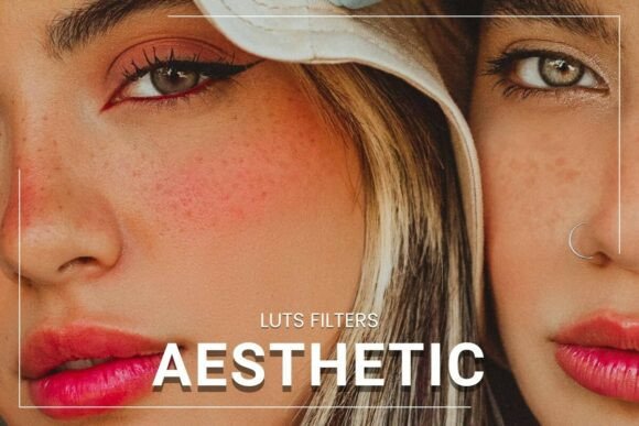 Download 30 Aesthetic LUT Collection - Premium Resources