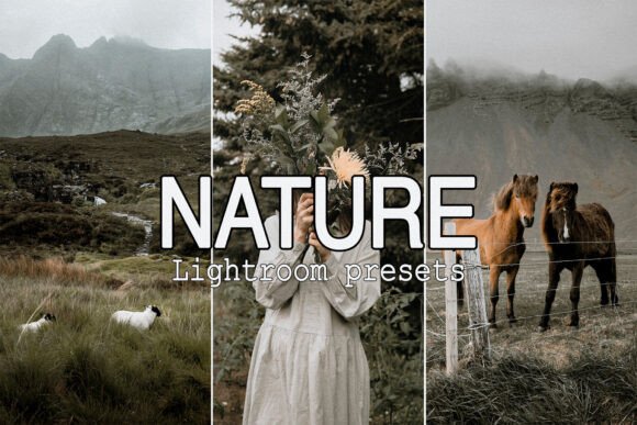 Download 9 Moody Nature Lightroom Presets - Premium Bundle