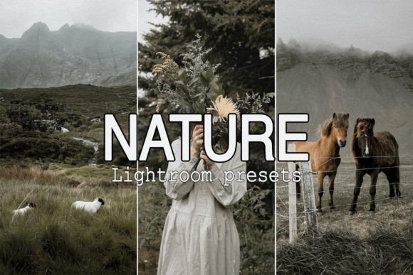 Download 9 Nature Lightroom Presets - Nature lightroom presets Collection
